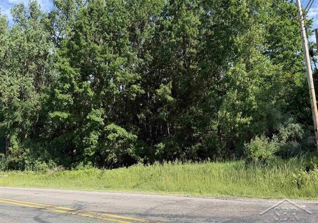 Photo 2 of Land for sale at Vl E Gordonville Rd, Midland, MI 48640 | MLS# 50211858 | Listing updated on 2026-07-22