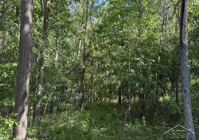 Photo 3 of Land for sale at Vl E Gordonville Rd, Midland, MI 48640 | MLS# 50211858 | Listing updated on 2026-07-22
