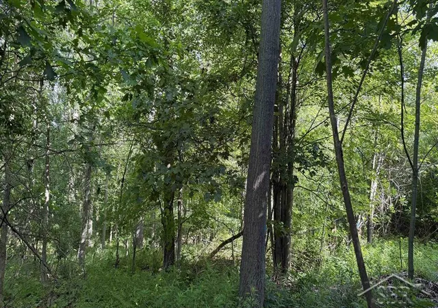 Photo 4 of Land for sale at Vl E Gordonville Rd, Midland, MI 48640 | MLS# 50211858 | Listing updated on 2026-07-22