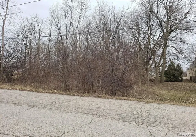 Photo 2 of Land for sale at 00 Lincoln Manor Dr, Grand Blanc, MI 48507 | MLS# 60383372 | Listing updated on 2025-06-30
