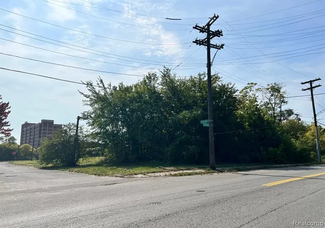 2nd image of 5387 Bangor St, Detroit, MI 48210 1411 | MLS# 60301171