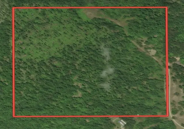 Photo 3 of Sale Pending at 00 Babbit Rd, Frederic, MI 49733 | MLS# 70544702 | Listing updated on 2026-09-25