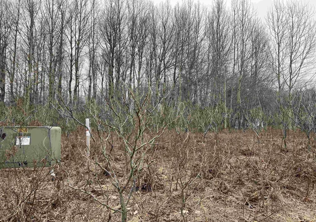 Homes for sale in Cadillac, MI | Lot 19 Crestview Dr, Cadillac, MI 49601 | MLS# 80064602