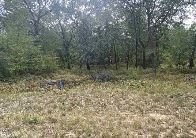 1st image of 00 Port Austin Rd, Caseville, MI 48725 | MLS# 50191676