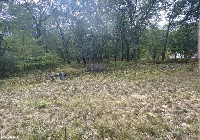 2nd image of 00 Port Austin Rd, Caseville, MI 48725 | MLS# 50191676