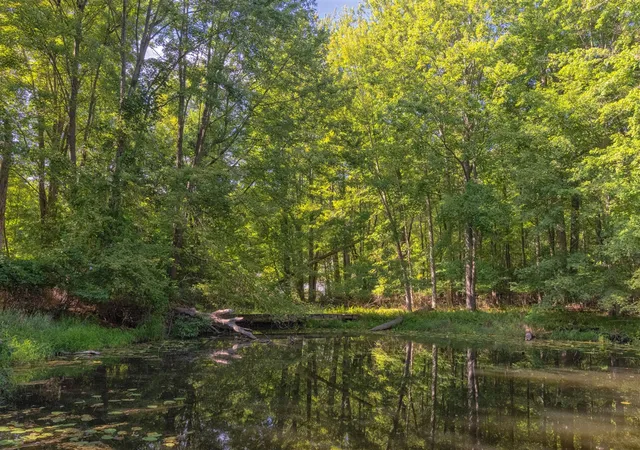 Land for sale at 6985 124Th Ave, Fennville, MI 49408-9753 | MLS# 70555055