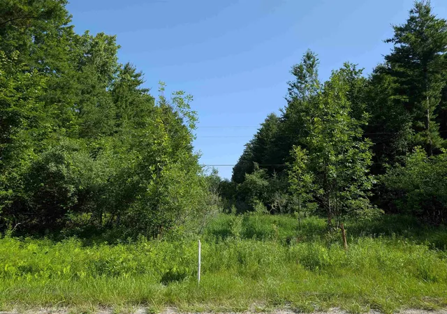 Homes for sale in Croswell, MI | 0 Burns Line Rd, Croswell, MI 48422 | MLS# 50213624