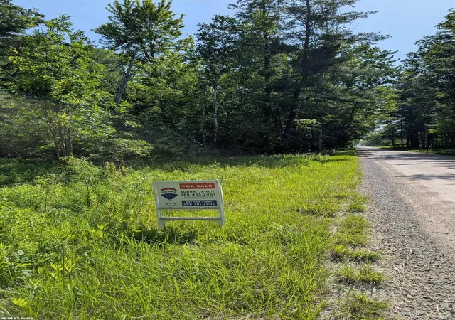 Homes for sale in Croswell, MI | 0 Burns Line Rd, Croswell, MI 48422 | MLS# 50213624