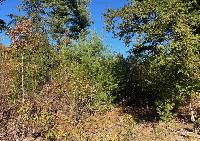 4th image of 8886 Hemlock Hill Dr, Traverse City, MI 49685 | MLS# 80069488