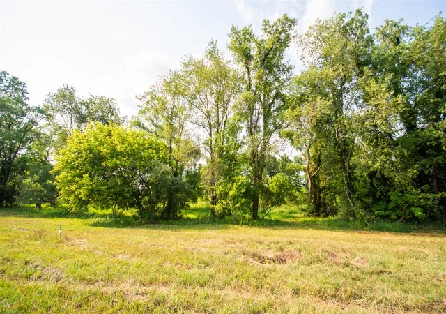 Photo 2 of Land for sale at 9250 92nd Street, Alto, MI 49302 | MLS# 70525781 | Listing updated on 2026-08-04