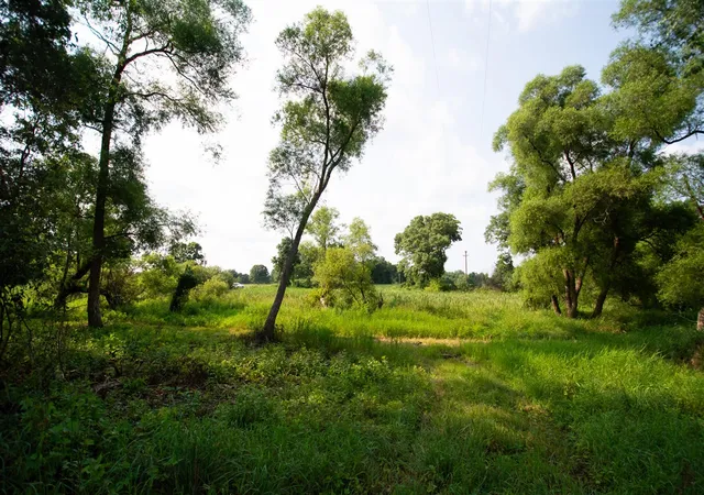 Photo 4 of Land for sale at 9250 92nd Street, Alto, MI 49302 | MLS# 70525781 | Listing updated on 2026-08-04