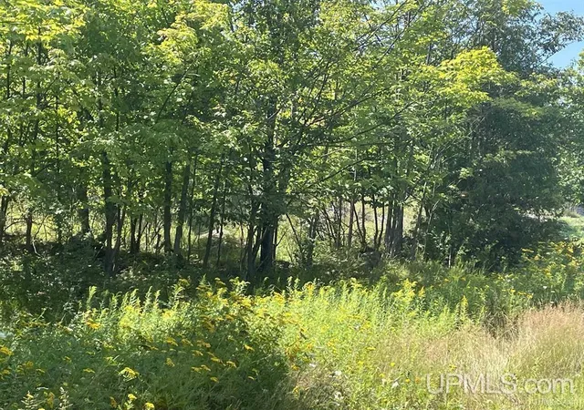 1st image of 301 Garfield, Marquette, MI 49855 | MLS# 50154928