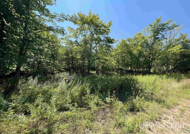 2nd image of 301 Garfield, Marquette, MI 49855 | MLS# 50154928