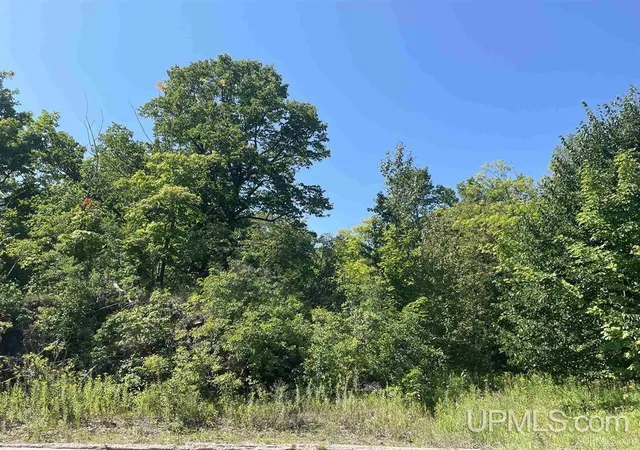 Photo 3 of Land for sale at 301 Garfield, Marquette, MI 49855 | MLS# 50154928 | Listing updated on 2025-09-04