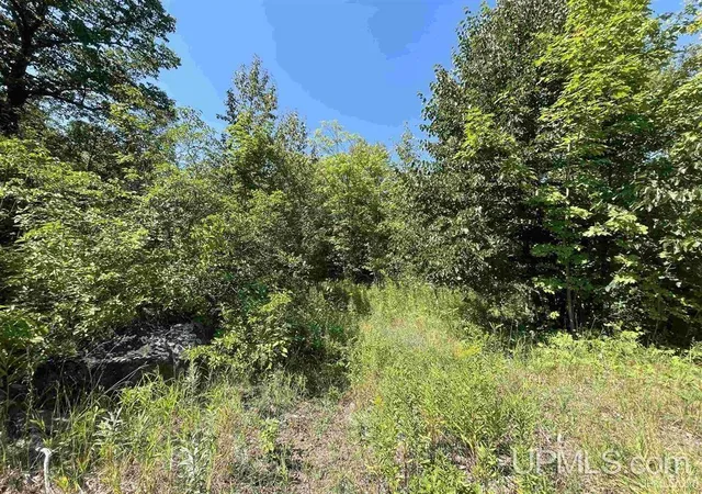 4th image of 301 Garfield, Marquette, MI 49855 | MLS# 50154928