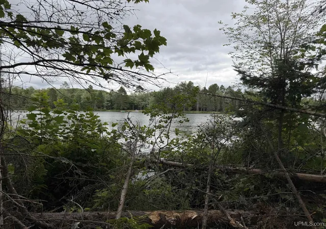 Photo 3 of Land for sale at Tbd N Casey Lake Rd, Ishpeming, MI 49849 | MLS# 50219784 | Listing updated on 2026-08-25
