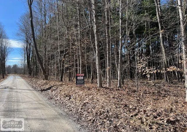 10th image of 0 Burton Rd, Mussey, MI 48014 | MLS# 50201728