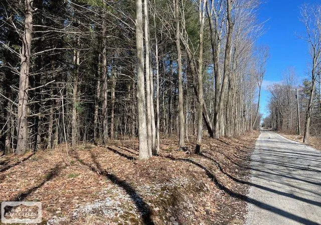 1st image of 0 Burton Rd, Mussey, MI 48014 | MLS# 50201728