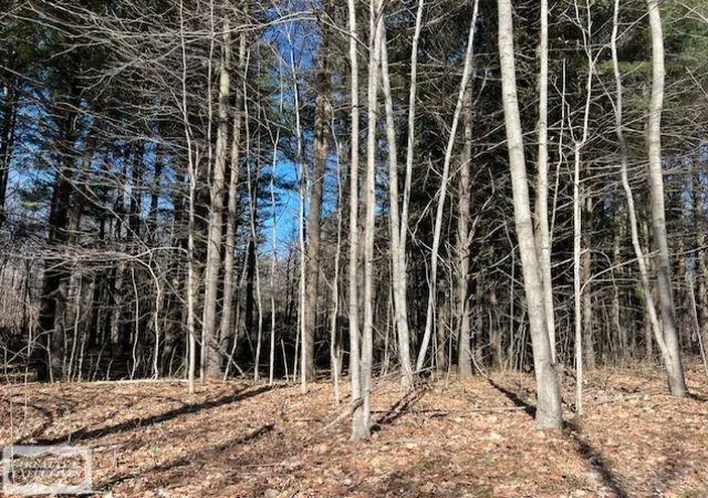 2nd image of 0 Burton Rd, Mussey, MI 48014 | MLS# 50201728
