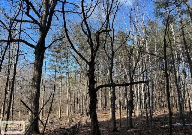 3rd image of 0 Burton Rd, Mussey, MI 48014 | MLS# 50201728