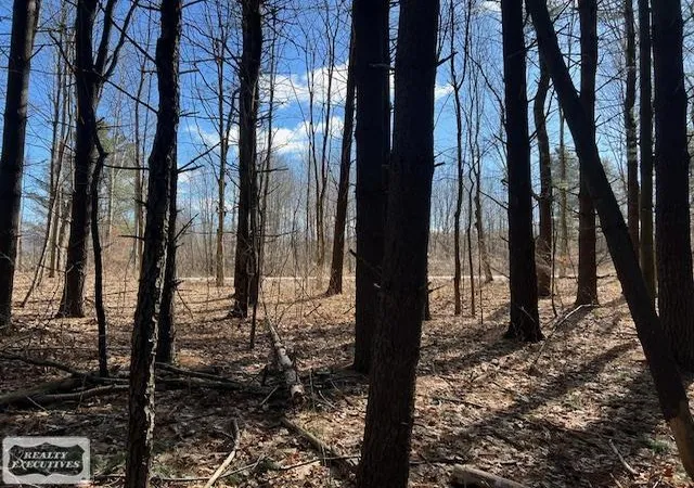 4th image of 0 Burton Rd, Mussey, MI 48014 | MLS# 50201728
