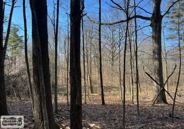 5th image of 0 Burton Rd, Mussey, MI 48014 | MLS# 50201728