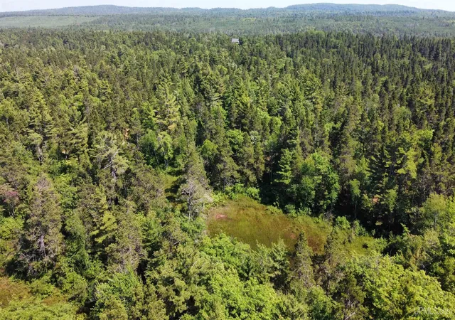 Photo 1 of Land for sale at Tbd Five Mile Point Rd, Allouez, MI 49805 | MLS# 50215664 | Listing updated on 2026-07-24