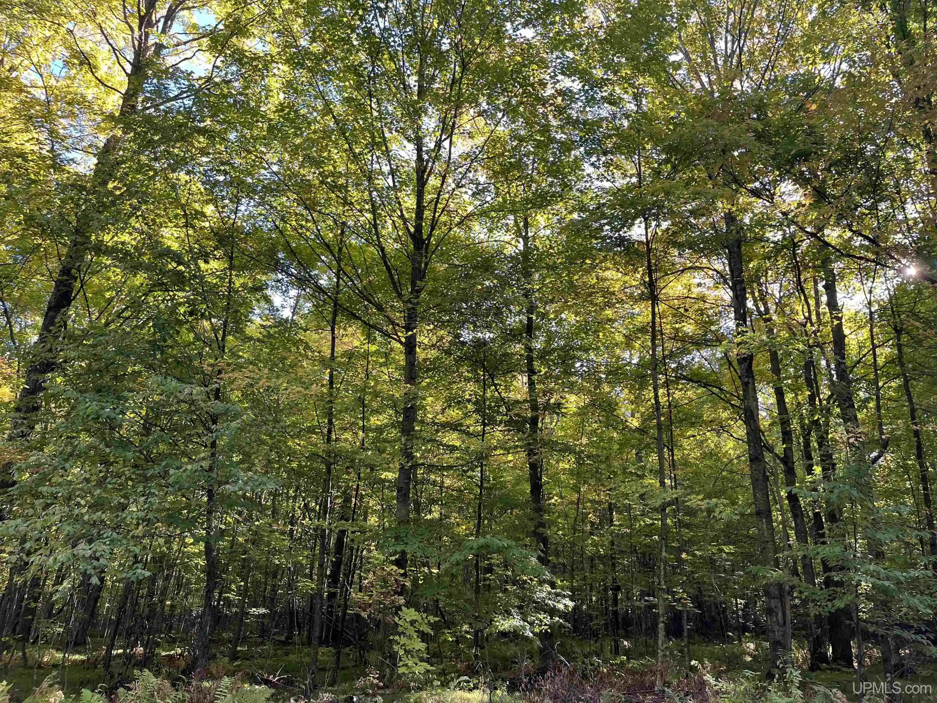 Photo 1 of Land for sale at Lot 1 Porcupine Lake Rd, Long Lake, WI 54542 | MLS# 50222749 | Listing updated on 2026-10-28