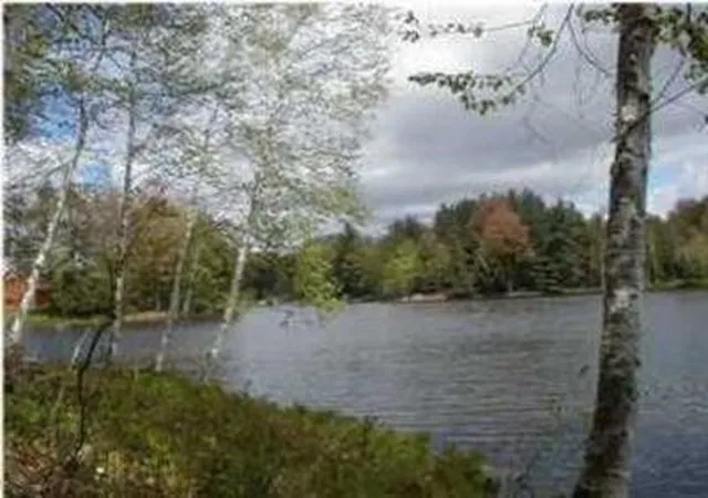 Homes for sale in Evart, MI | Vl Lot 811 Miramichi Dr, Evart, MI 49631 | MLS# 70527597