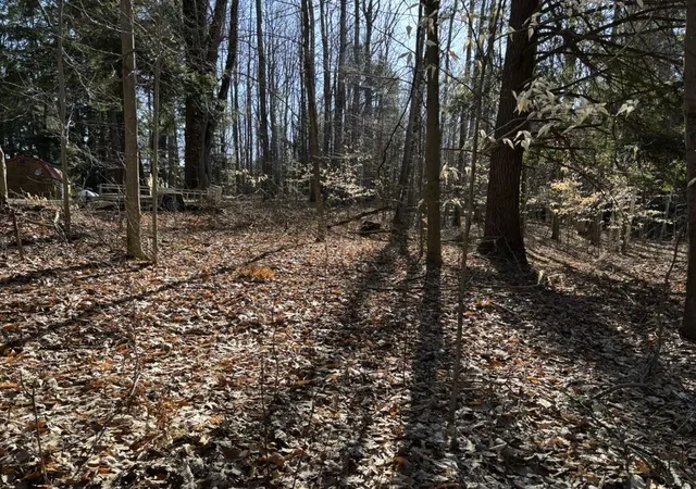 Homes for sale in Evart, MI | Vl Lot 811 Miramichi Dr, Evart, MI 49631 | MLS# 70527597