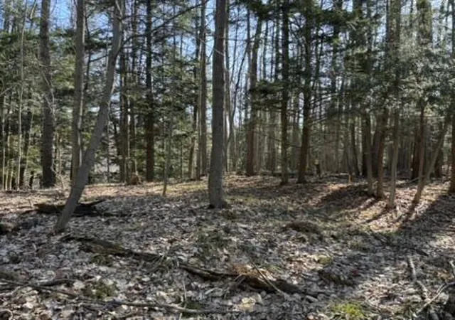 Homes for sale in Evart, MI | Vl Lot 811 Miramichi Dr, Evart, MI 49631 | MLS# 70527597