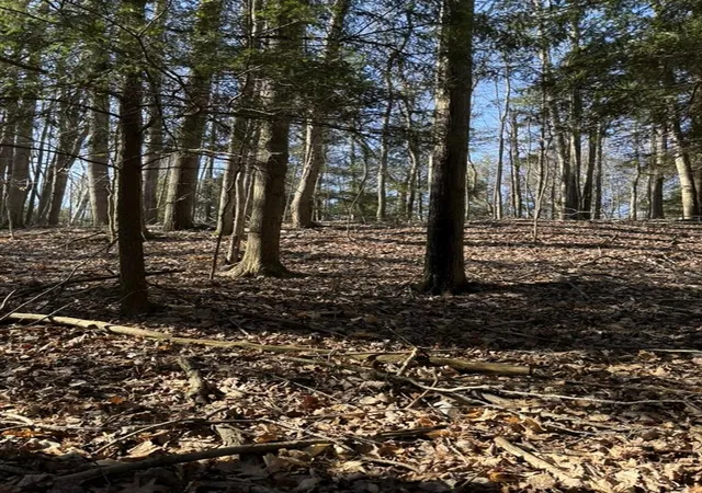 Homes for sale in Evart, MI | Vl Lot 811 Miramichi Dr, Evart, MI 49631 | MLS# 70527597