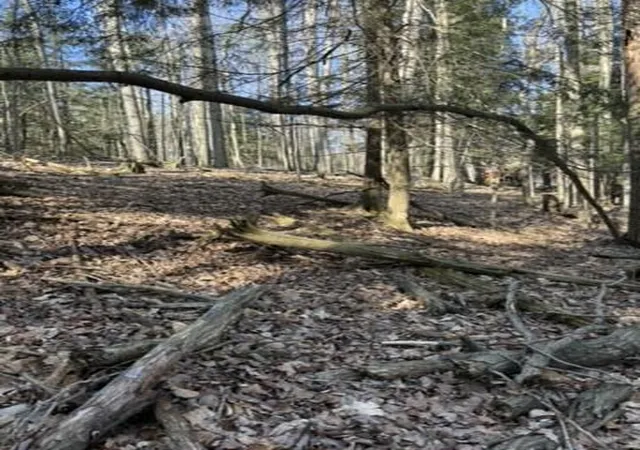 Homes for sale in Evart, MI | Vl Lot 811 Miramichi Dr, Evart, MI 49631 | MLS# 70527597
