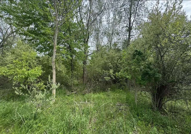 Homes for sale in South Haven, MI | 6890/6882 116th Ave, South Haven, MI 49090 | MLS# 70533412