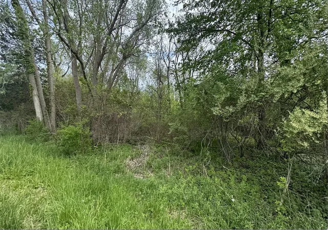 Homes for sale in South Haven, MI | 6890/6882 116Th Ave, South Haven, MI 49090 | MLS# 70533412