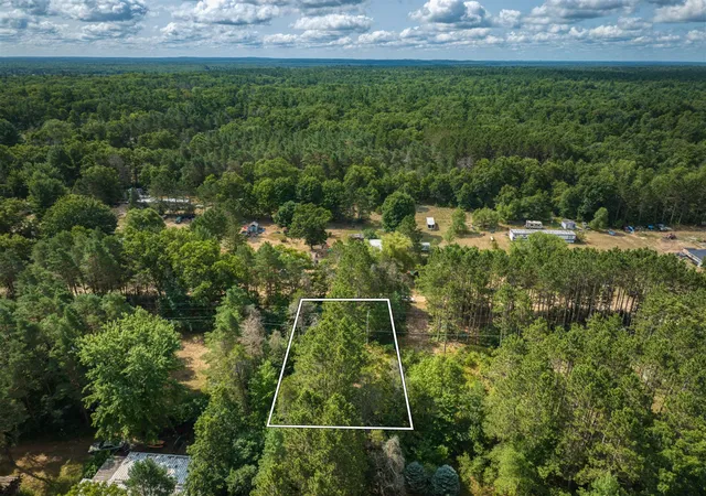 Photo 4 of Land for sale at 6313 E 29th Street, White Cloud, MI 49349 | MLS# 70548742 | Listing updated on 2026-07-29