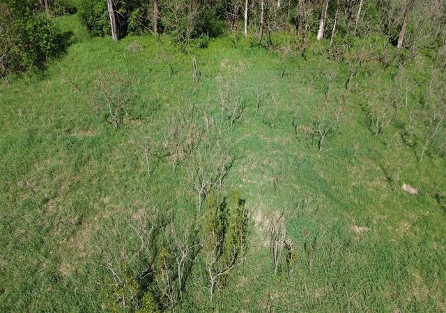 Homes for sale in Shelby, MI | V/l Lot #'s 15 & 16 E Loop Rd, Shelby, MI 49455 | MLS# 70468187