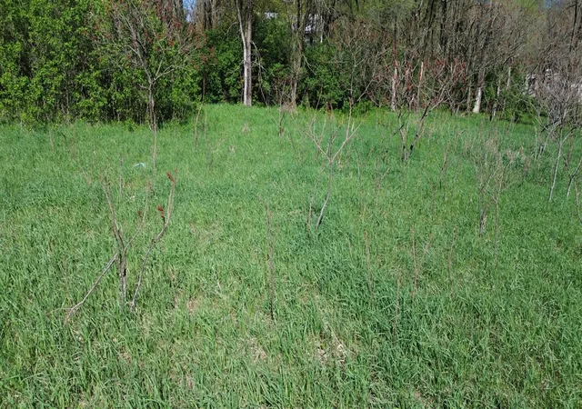 Photo 3 of Land for sale at V/l Lot #'s 15 & 16 E Loop Rd, Shelby, MI 49455 | MLS# 70468187 | Listing updated on 2026-06-30