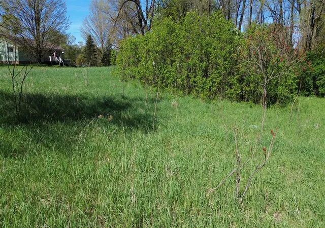 Photo 3 of Land for sale at V/l Lot #'s 15 & 16 E Loop Rd, Shelby, MI 49455 | MLS# 70468187 | Listing updated on 2026-06-30