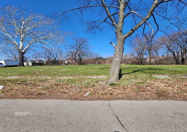 Photo 2 of Land for sale at 595 Leicester Ct, Detroit, MI 48202 | MLS# 60983810 | Listing updated on 2026-07-07