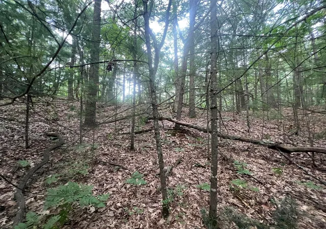 1st image of V/l A Lenox Ave, Pentwater, MI 49449 | MLS# 70523471