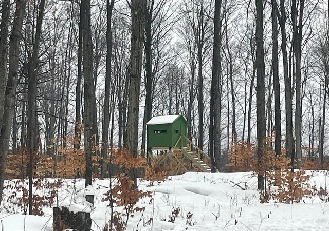 Photo 1 of Land for sale at 20350 Lindy Rd, Thompsonville, MI 49683 | MLS# 70511538 | Listing updated on 2026-04-29
