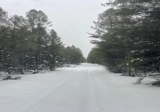 Photo 2 of Land for sale at 20350 Lindy Rd, Thompsonville, MI 49683 | MLS# 70511538 | Listing updated on 2026-04-29