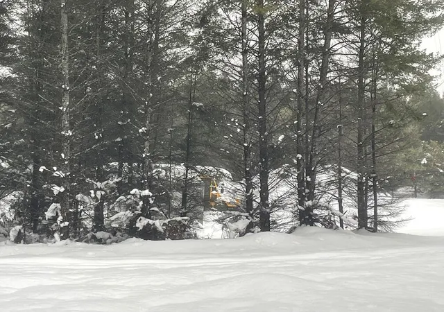 Photo 3 of Land for sale at 20350 Lindy Rd, Thompsonville, MI 49683 | MLS# 70511538 | Listing updated on 2026-04-29