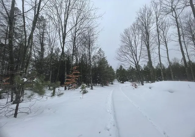Photo 4 of Land for sale at 20350 Lindy Rd, Thompsonville, MI 49683 | MLS# 70511538 | Listing updated on 2026-04-29