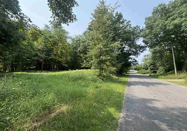 3rd image of 0 Franklin St, Alden, MI 49612 | MLS# 80072522