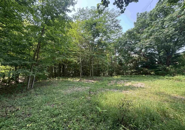 4th image of 0 Franklin St, Alden, MI 49612 | MLS# 80072522