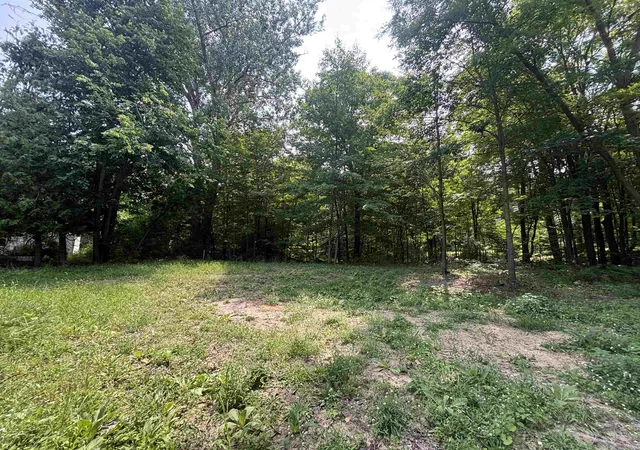 5th image of 0 Franklin St, Alden, MI 49612 | MLS# 80072522