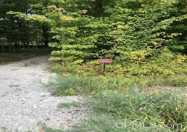Homes for sale in Shingleton, MI | E12696 H 58 Rd, Shingleton, MI 49884 | MLS# 50211873