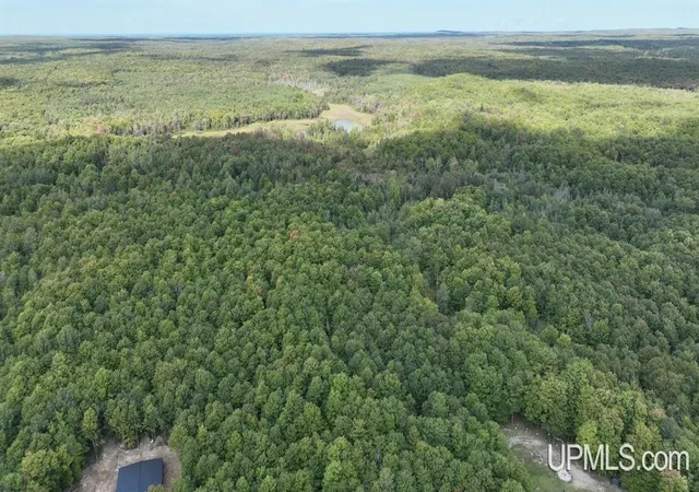 Homes for sale in Shingleton, MI | E12696 H-58 Rd, Shingleton, MI 49884 | MLS# 50211873